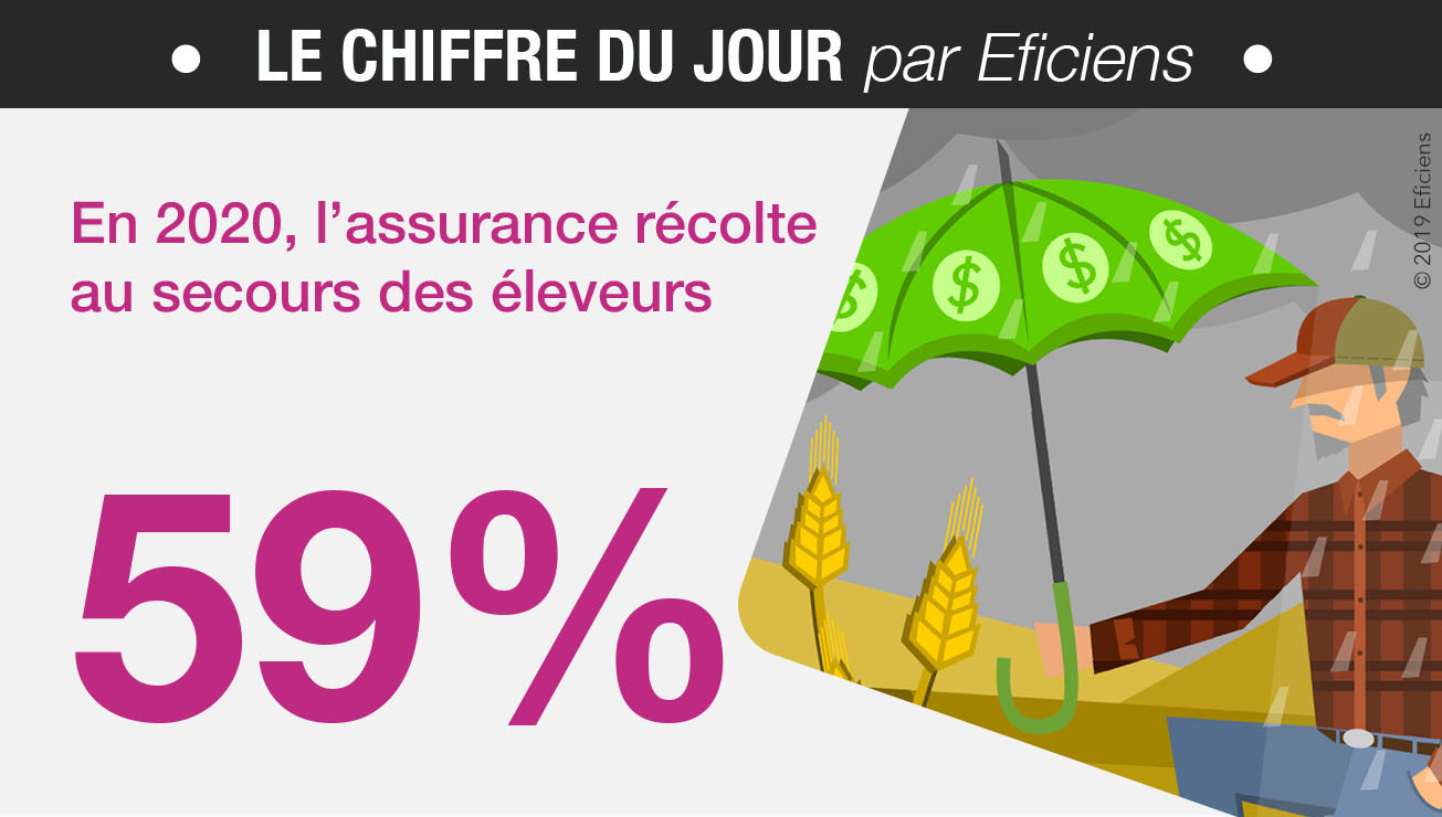 assurance recolte climatique